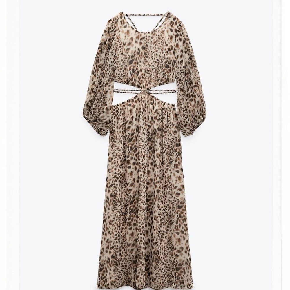Zara Animal Print Long Sleeve Dress